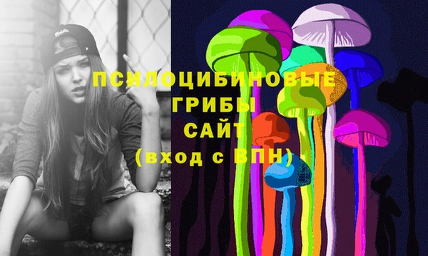 соль ск Аркадак