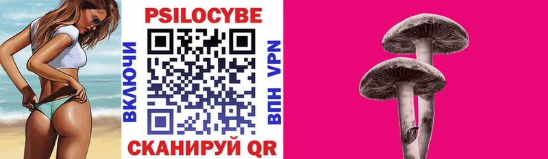 ОМГ ОМГ зеркало  нарко площадка формула  Галлюциногенные грибы Cubensis  Старица 